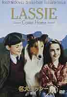 名犬ラッシー 全6巻セット DVD セル版 Amazon.co.jp: 世界名作劇場 名犬ラッシー [レンタル落ち] (全6